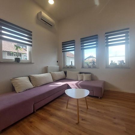 Spring And Summer Apartment Near Ljubljana With Free Secure Parking Domžale Esterno foto