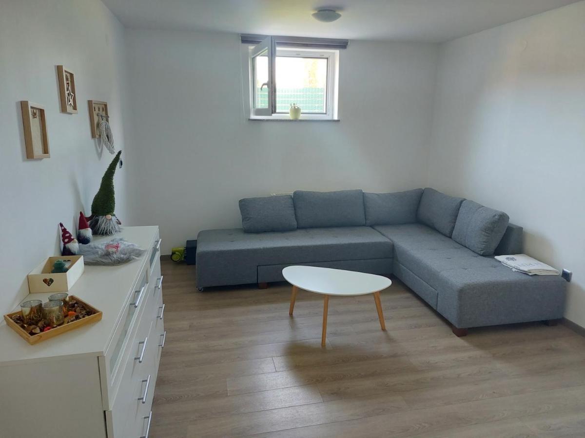 Spring And Summer Apartment Near Ljubljana With Free Secure Parking Domžale Esterno foto
