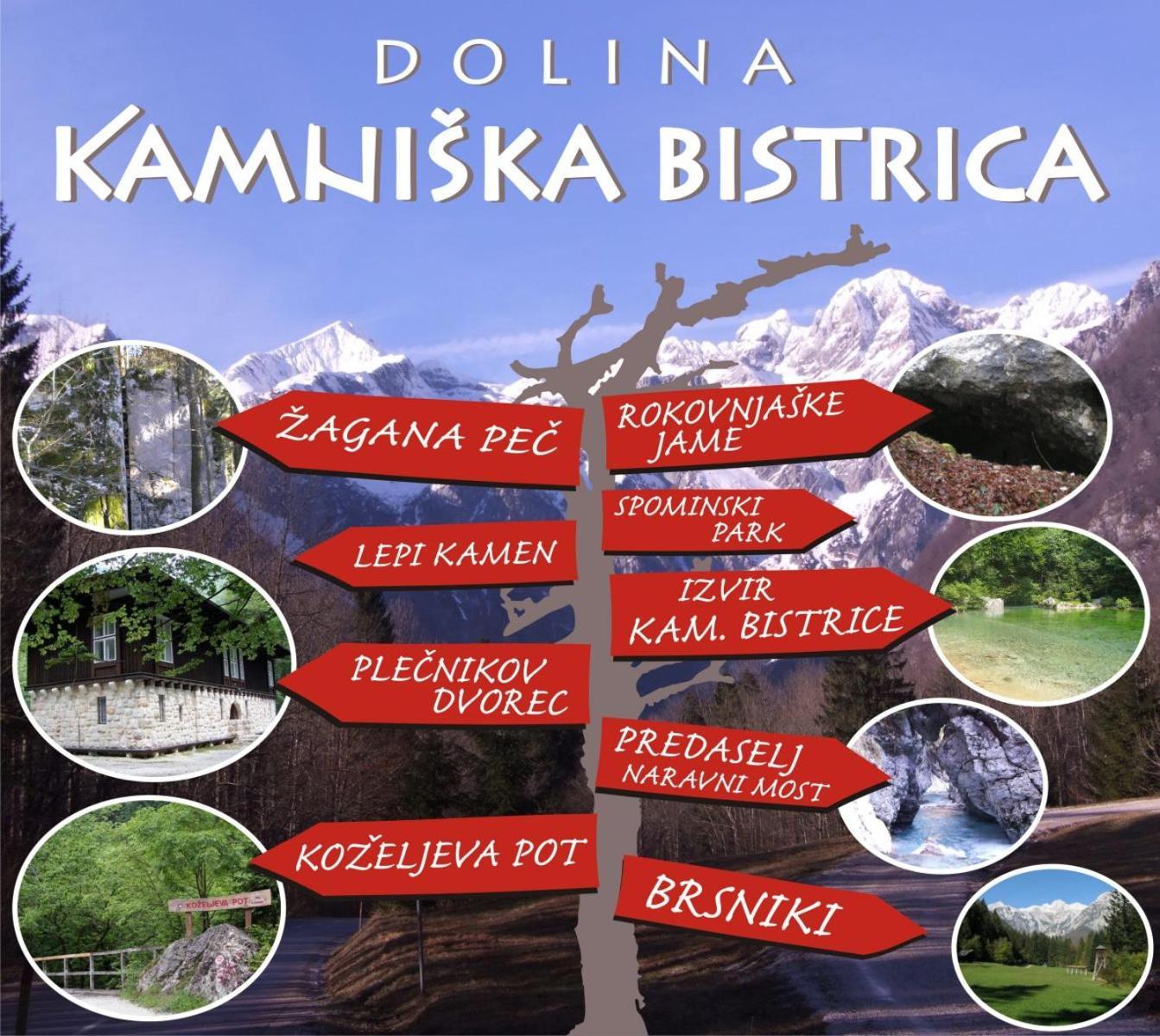 Spring And Summer Apartment Near Ljubljana With Free Secure Parking Domžale Esterno foto